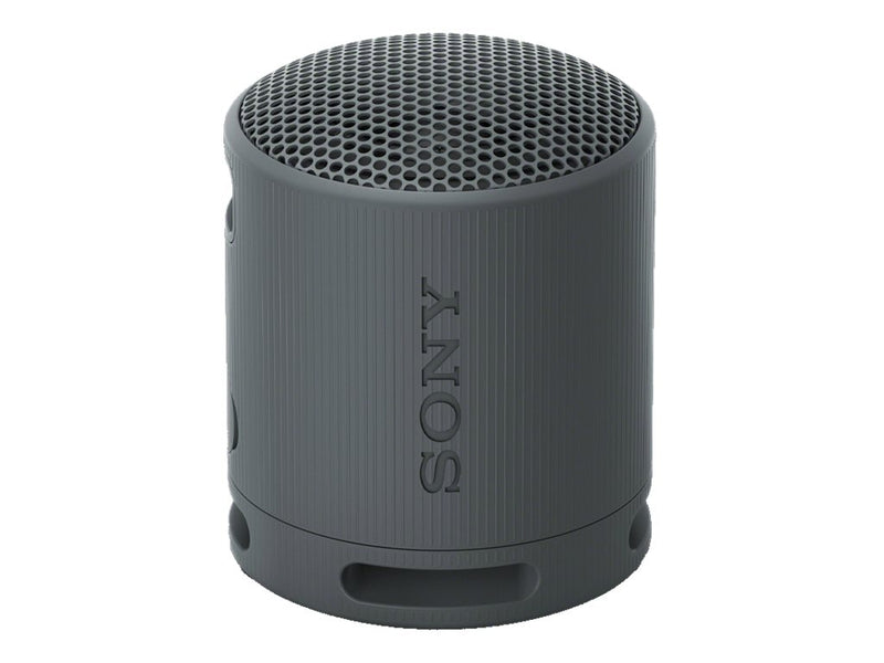 Sony SRS-XB100 Trådløs høyttaler