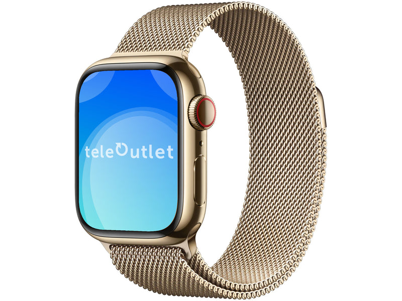 Milanese loop - Gull