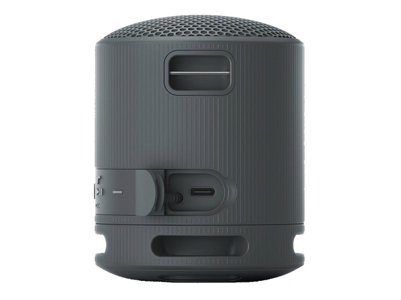 Sony SRS-XB100 Trådløs høyttaler