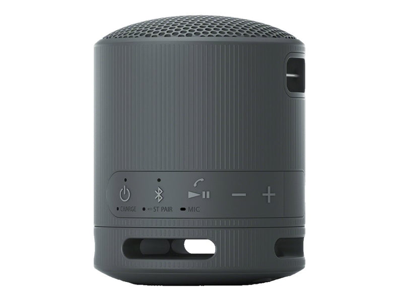 Sony SRS-XB100 Trådløs høyttaler