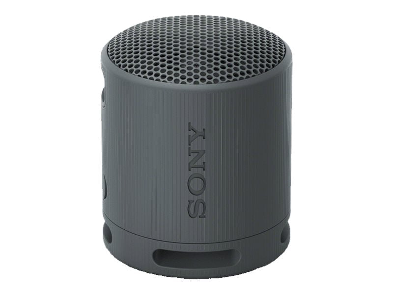 Sony SRS-XB100 Trådløs høyttaler