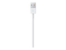 Apple Ladekabel USB-A til Lightning 0,5m